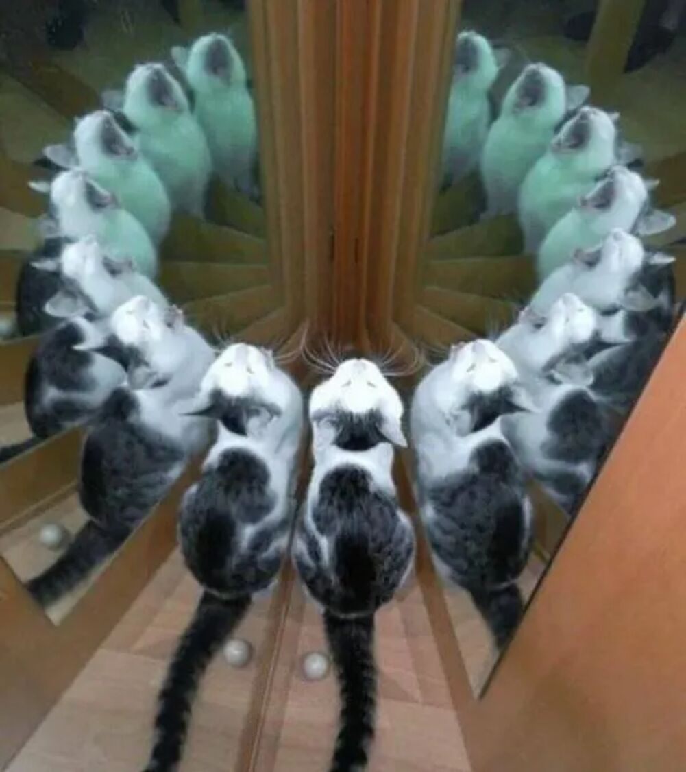 called you all here