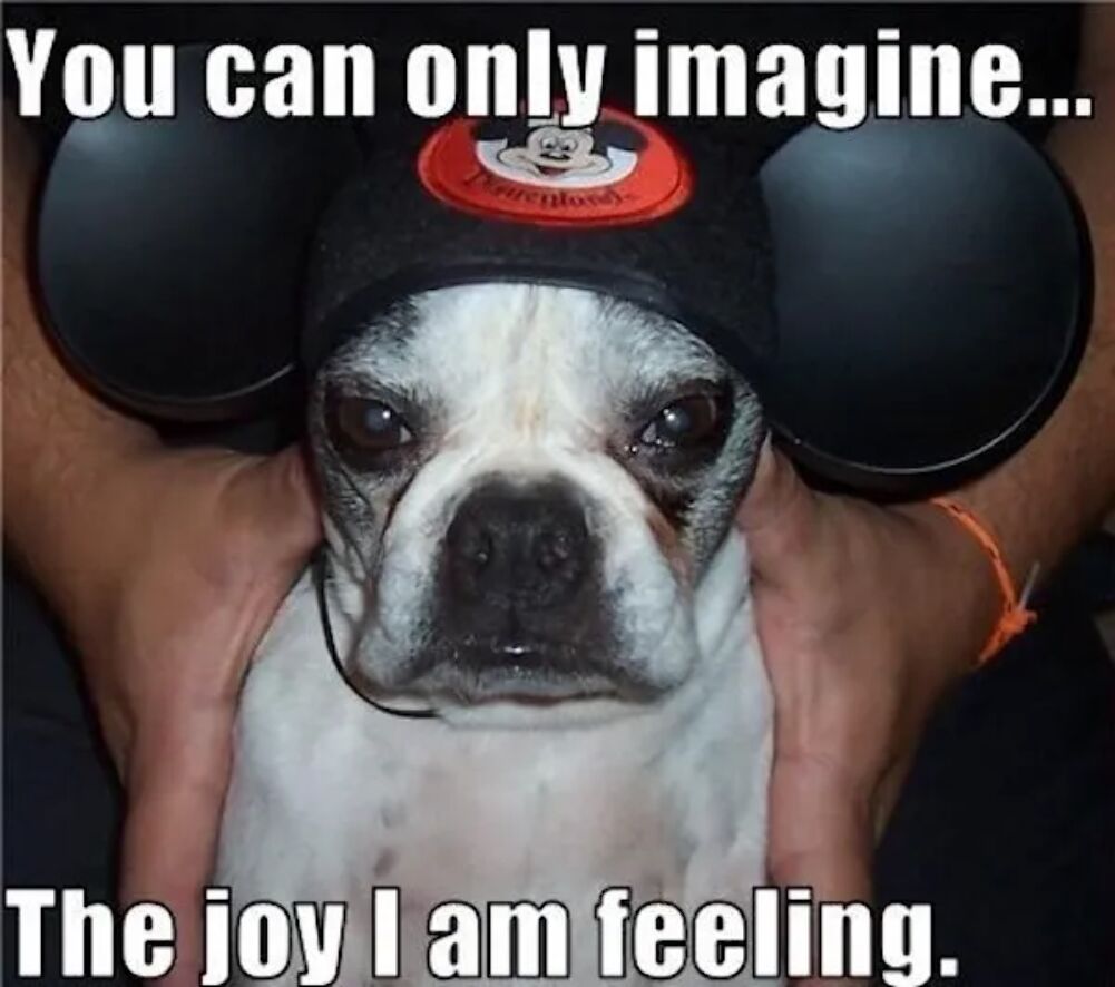 can only imagine