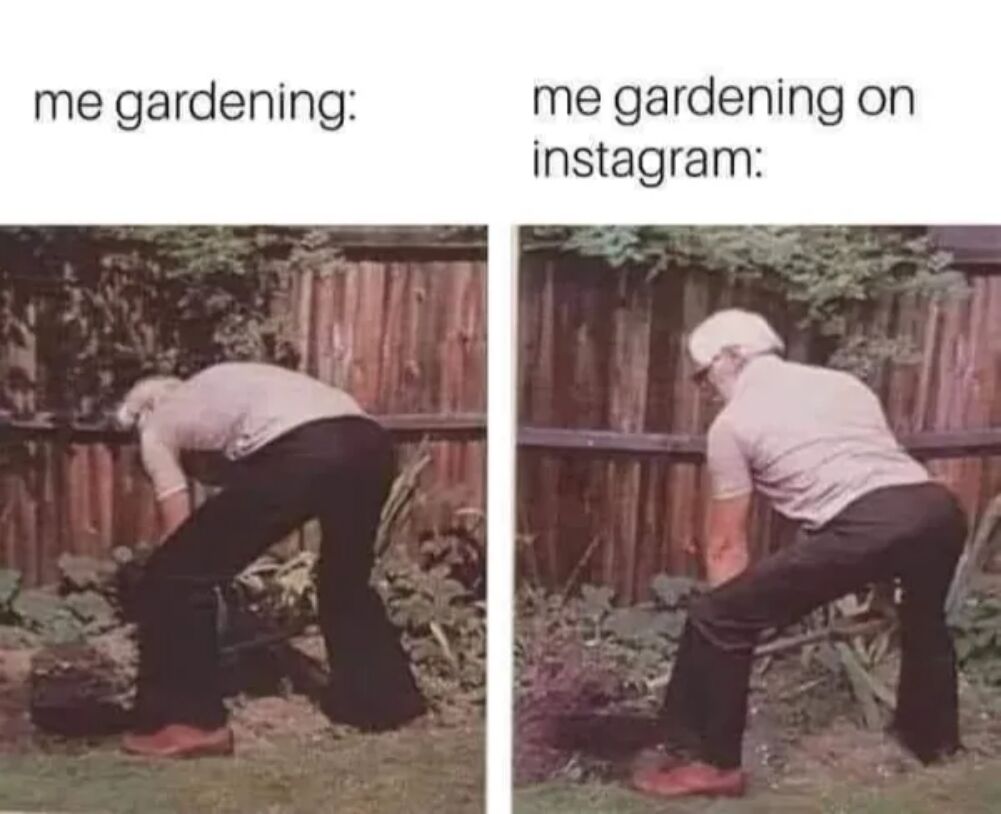 gardenning