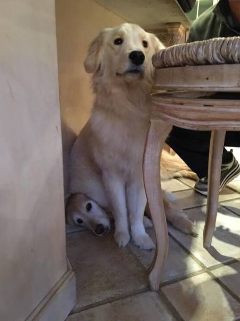 have a seat