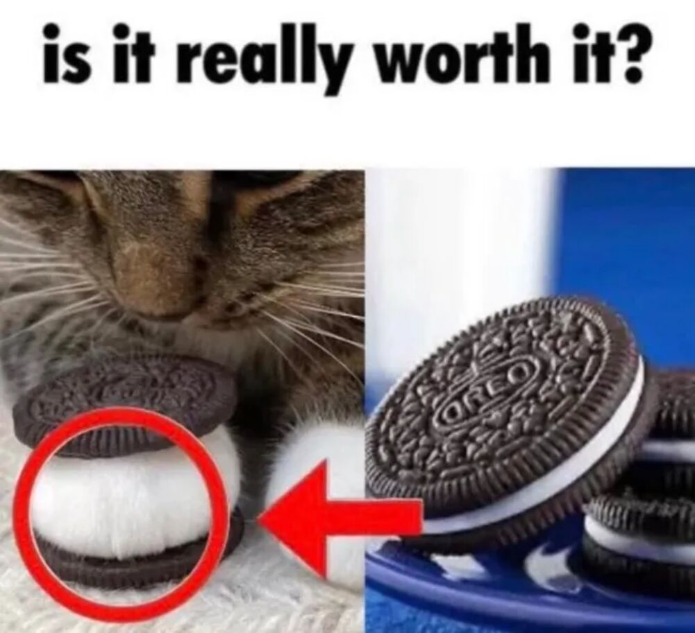 is it worth it