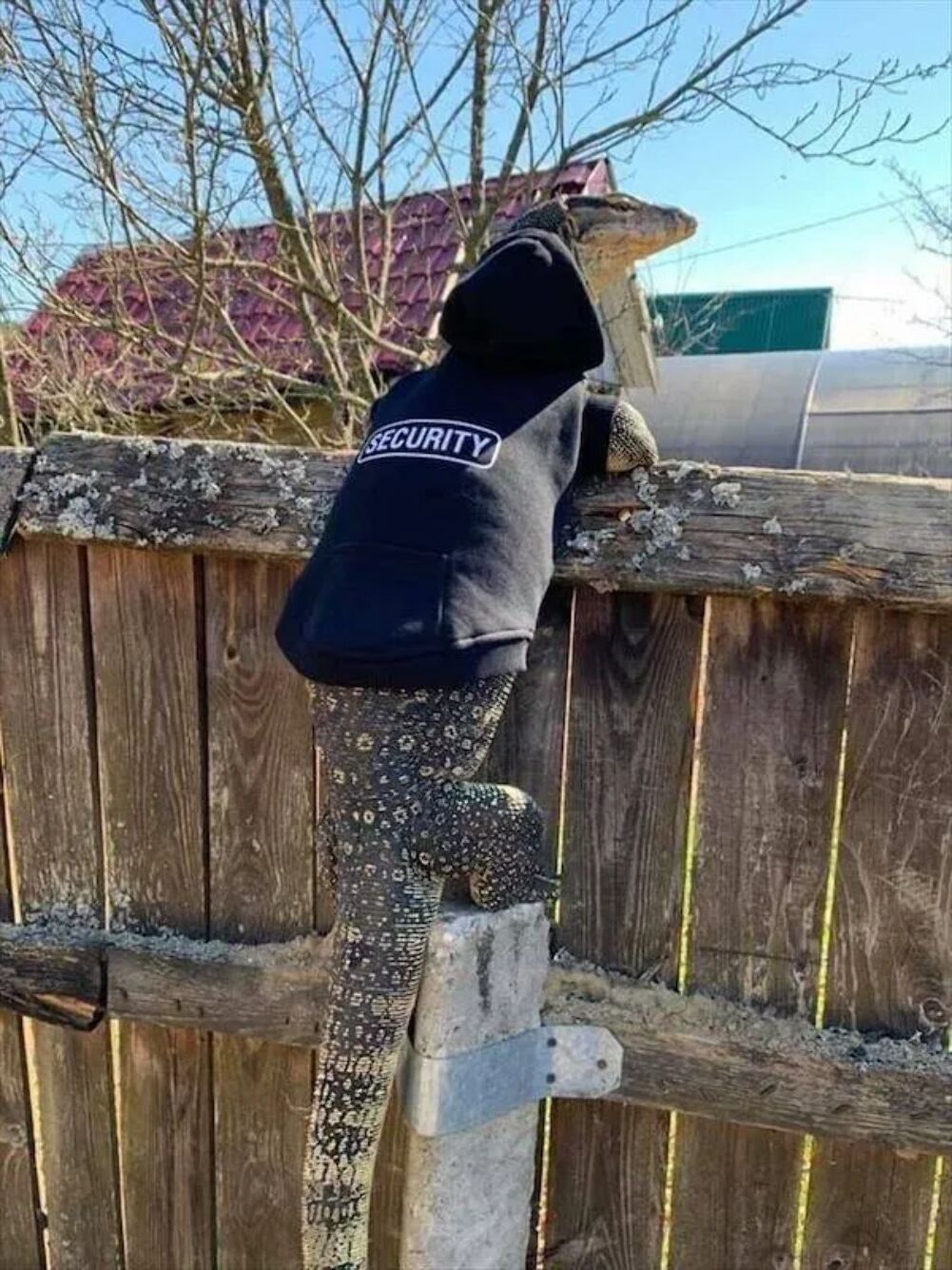 security force