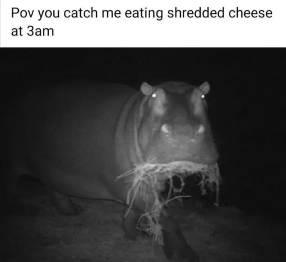 the p o v