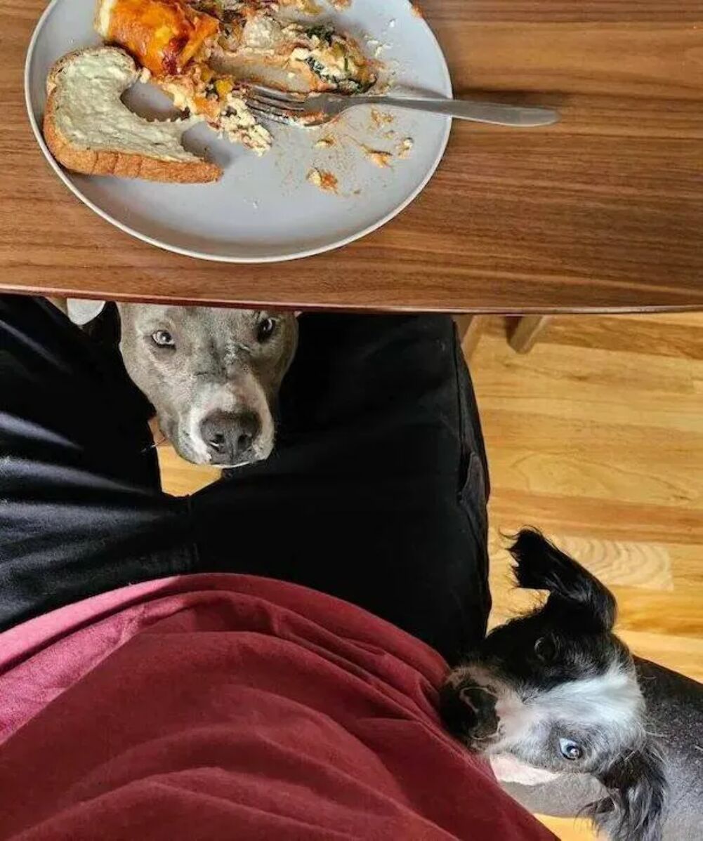 you gonna share