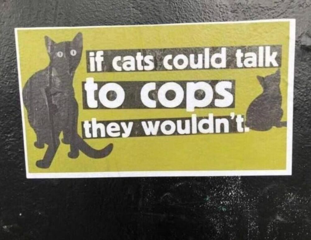 if they could