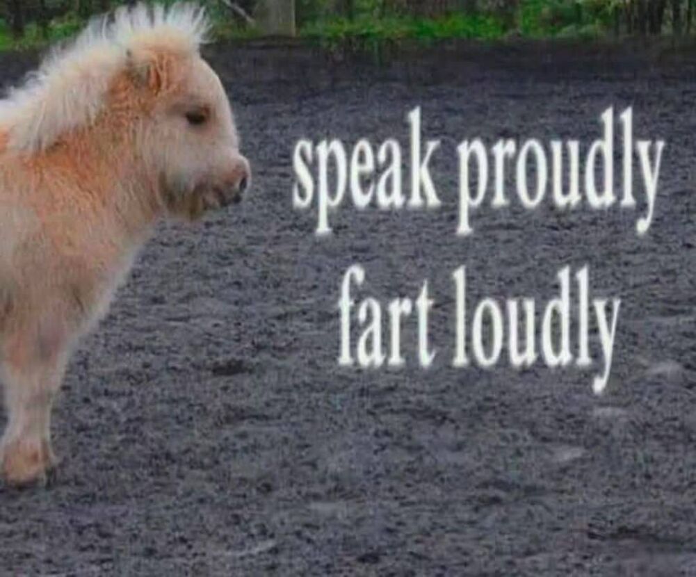 loudly and proudly