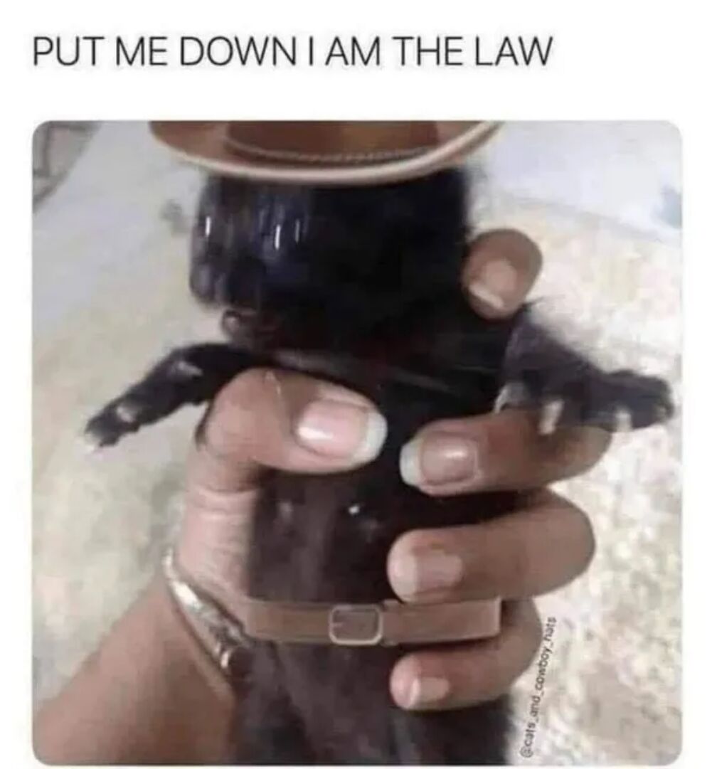 put me down now