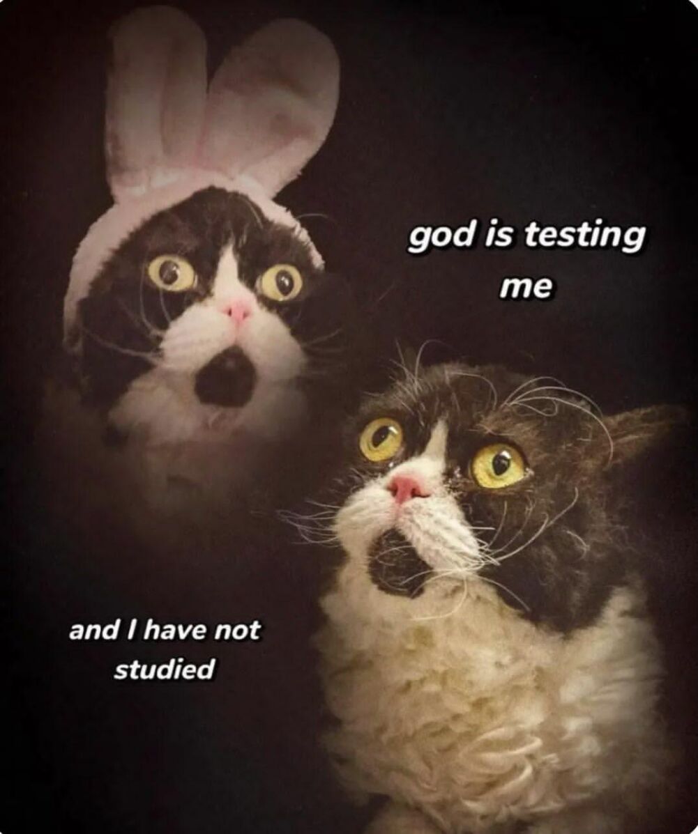 testing me
