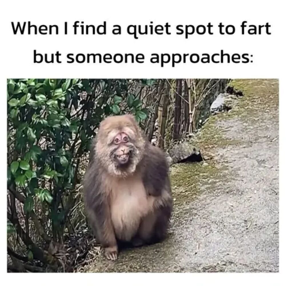 a quiet spot