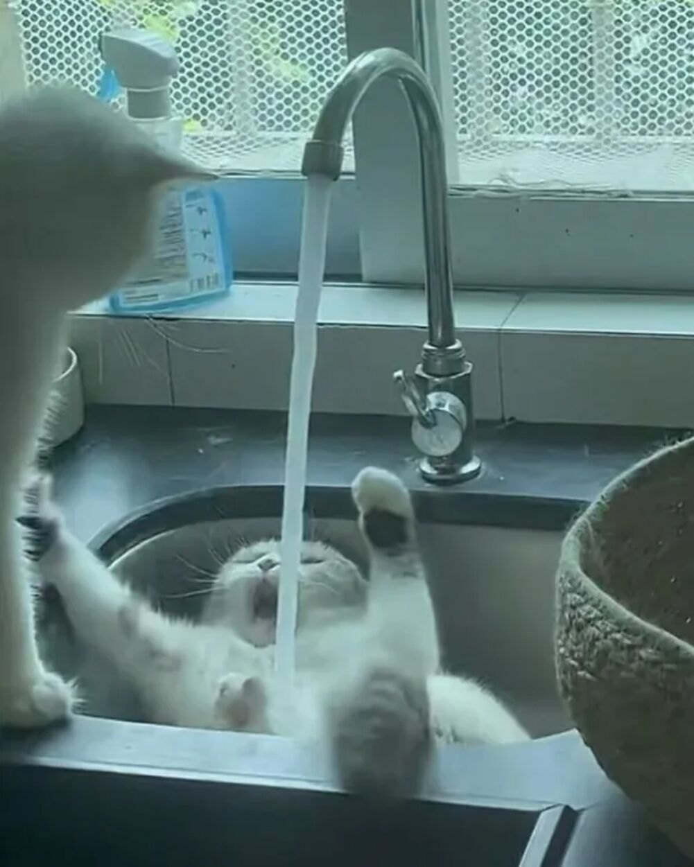 arghhhhhhh