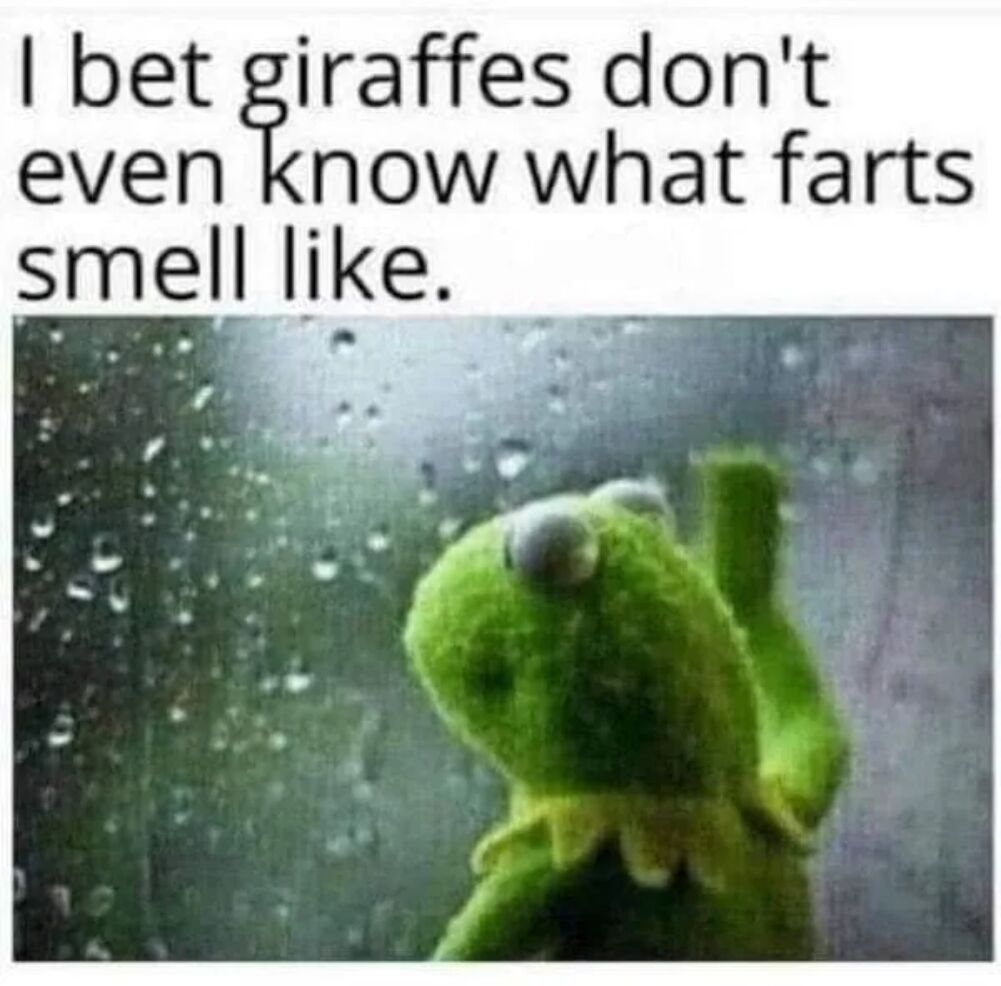 i bet