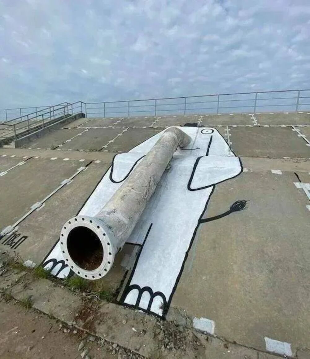 the trunk