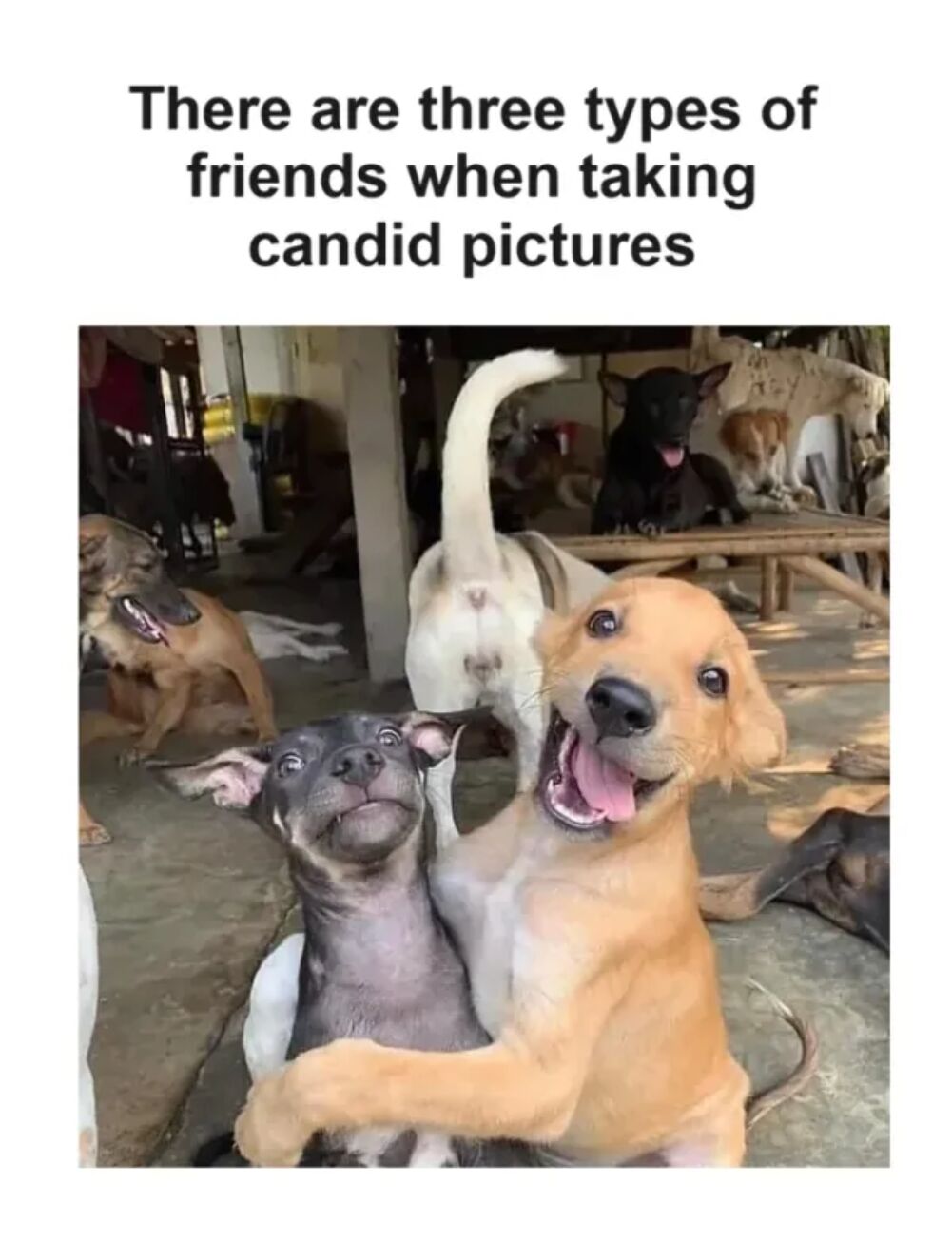 3 types