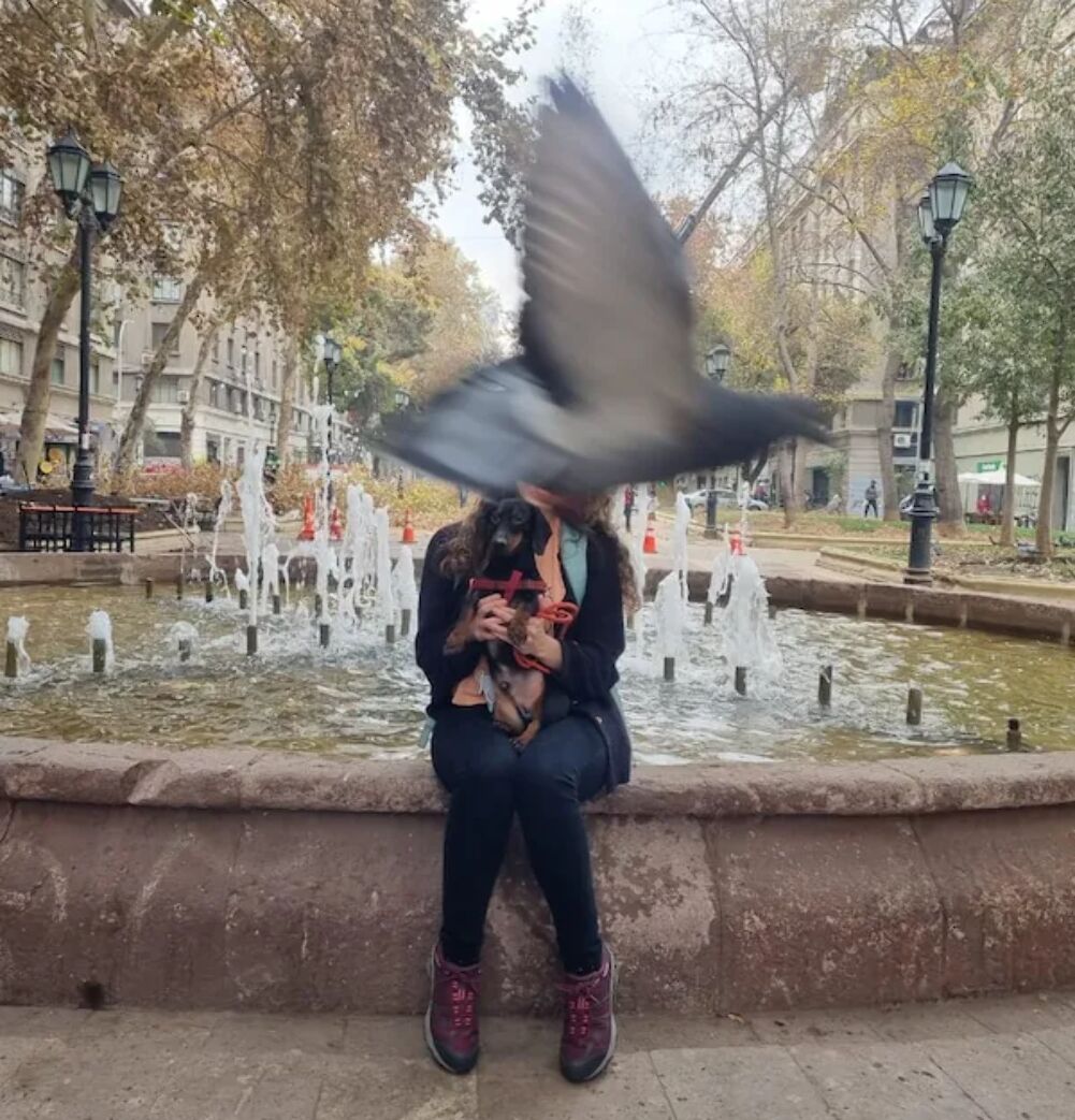 birdy bomb