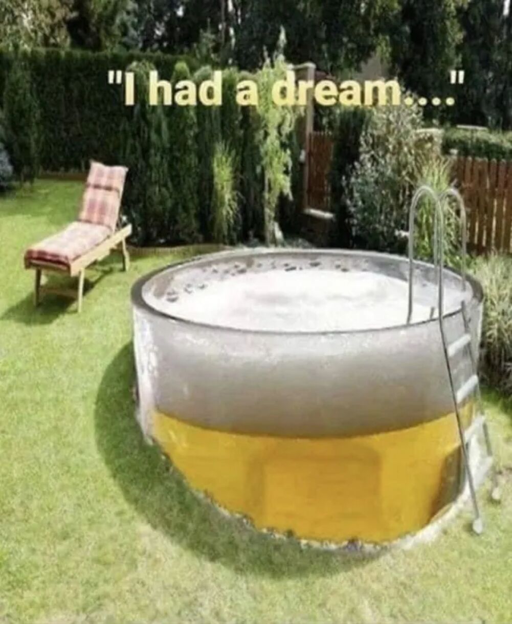 i had a dream