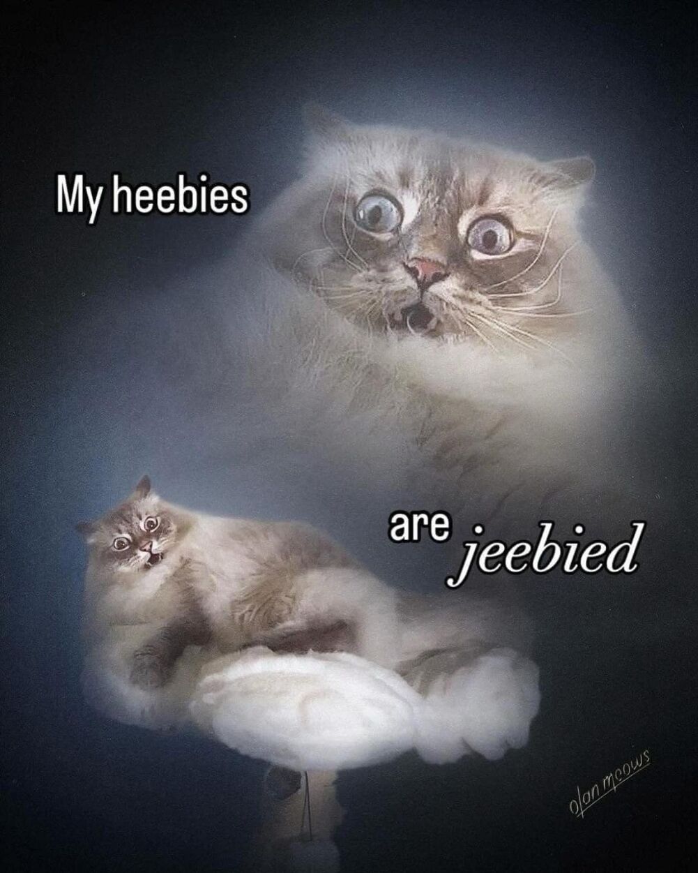 my heebies