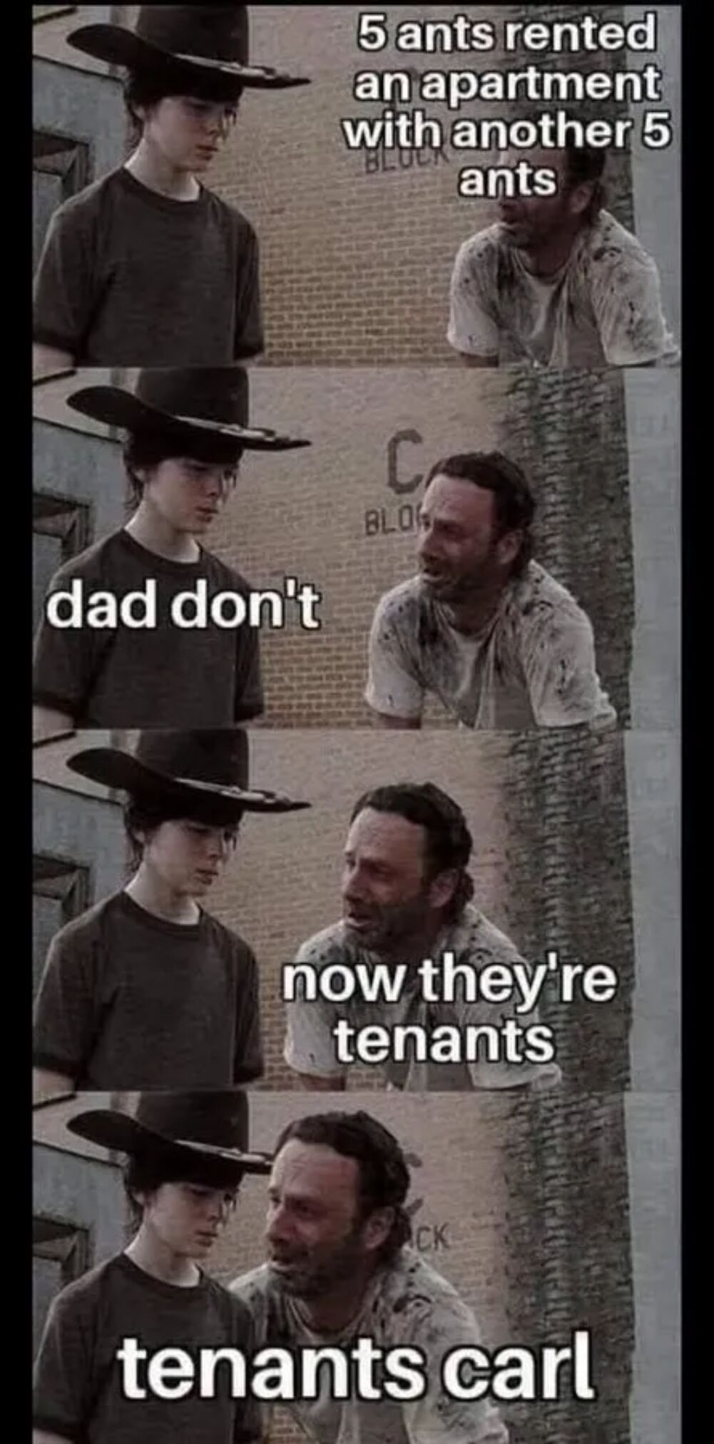 ants