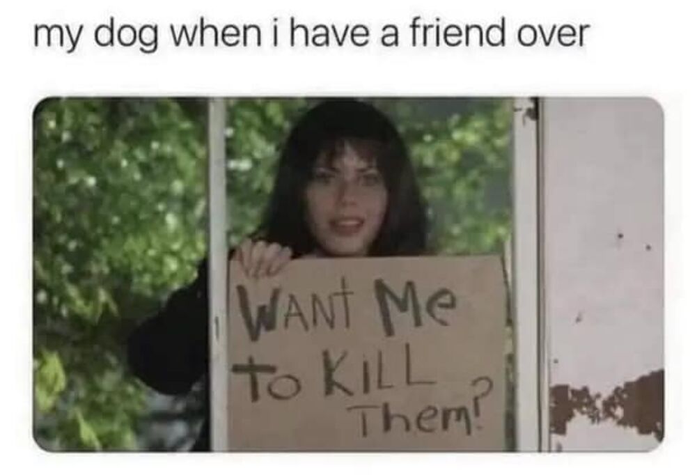 friend is here