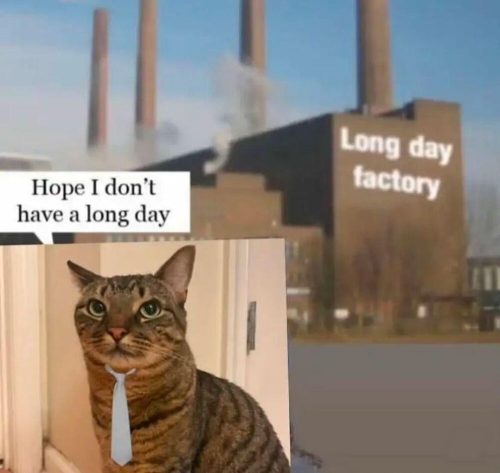 long day