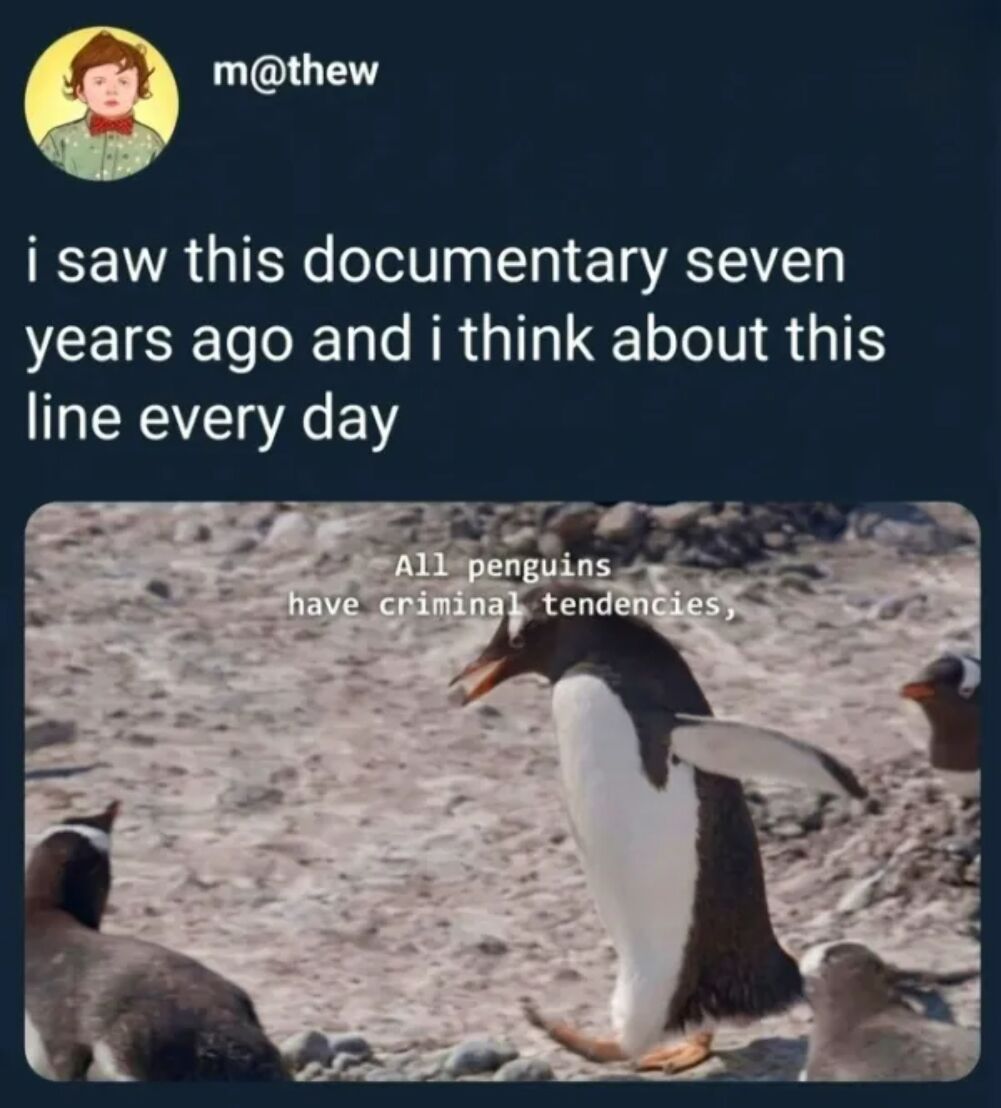 the penguins