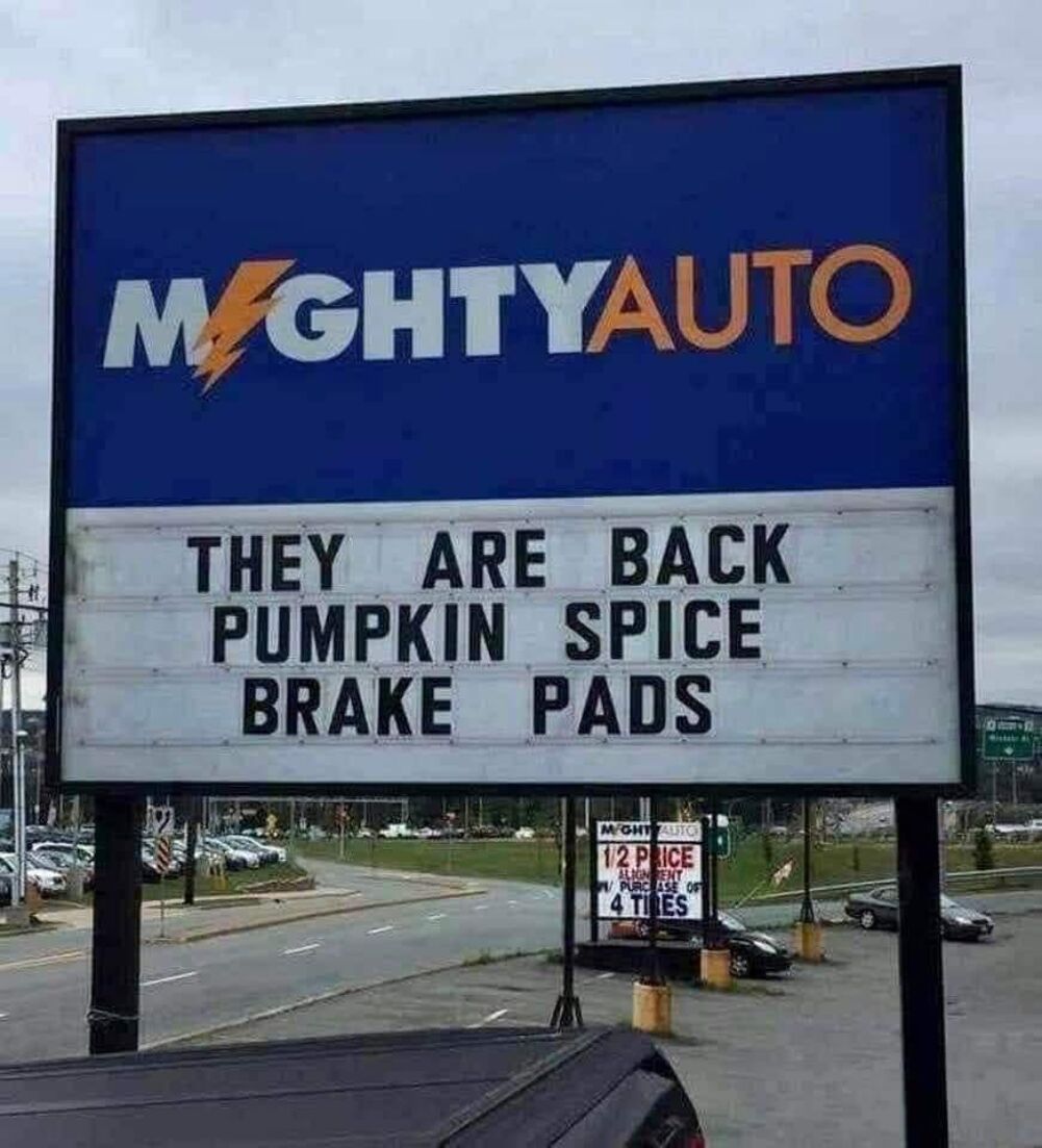 they are back