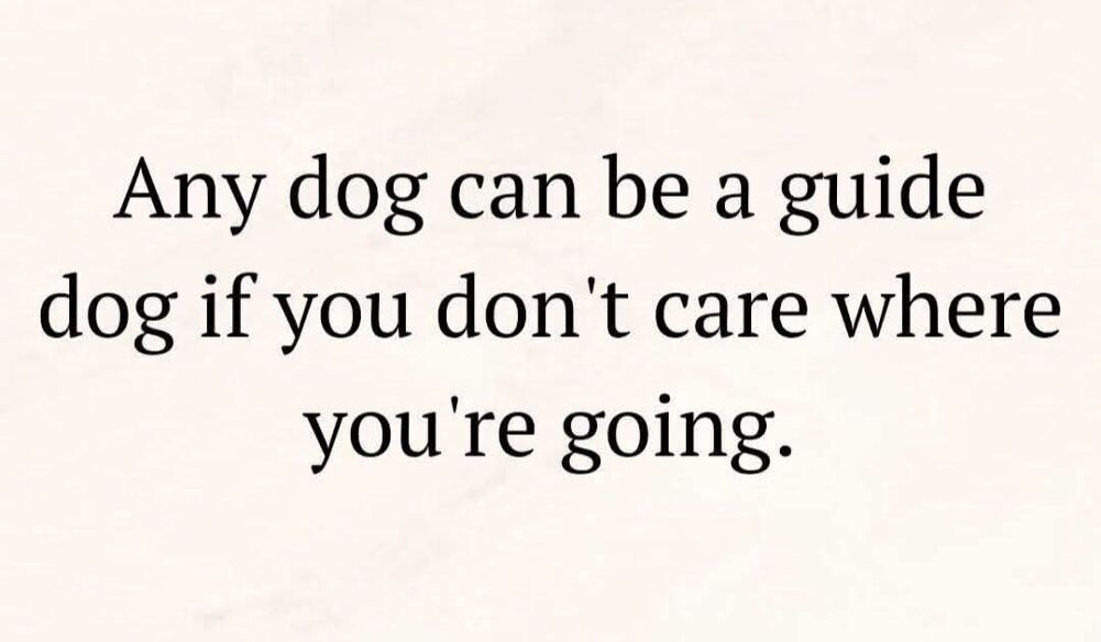 any dog