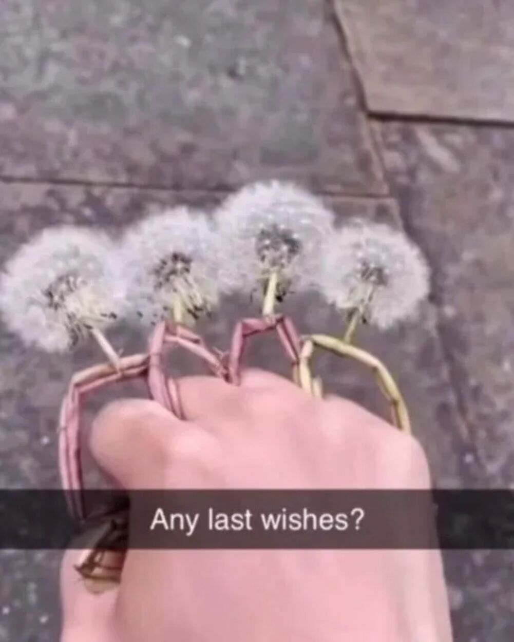 last wishes