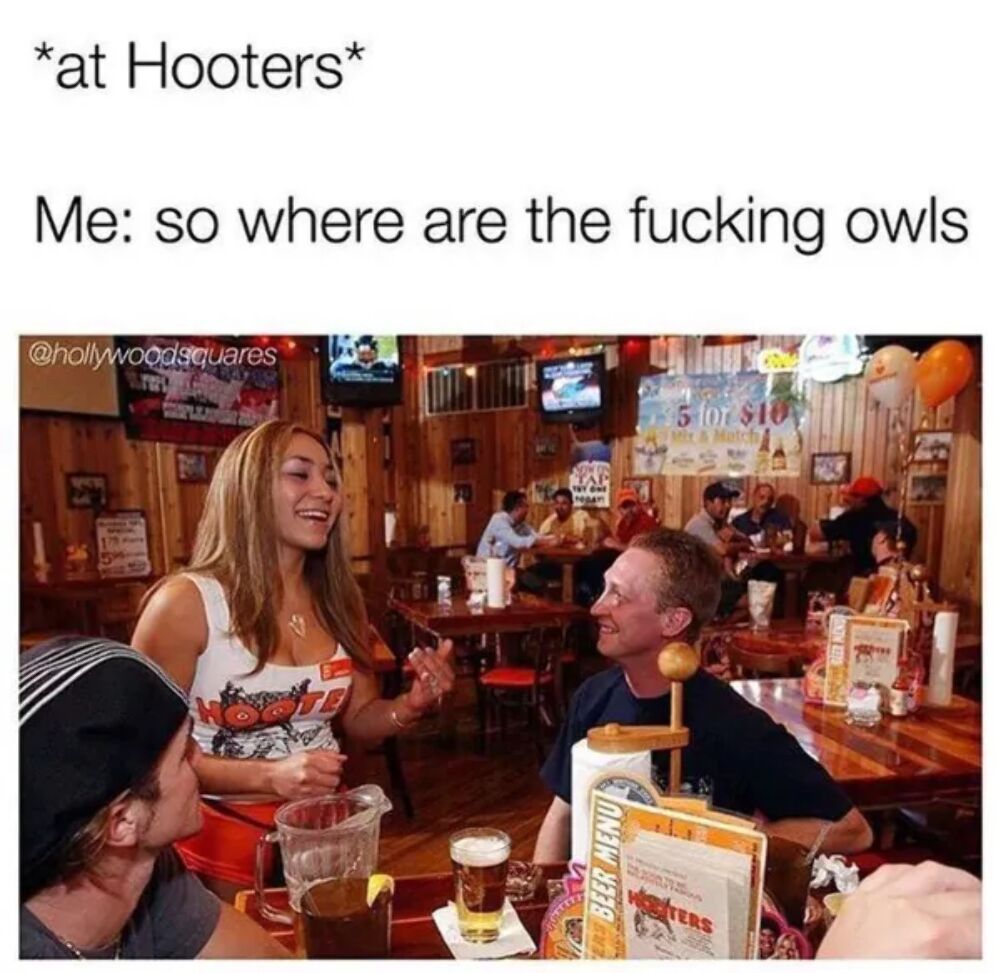 owls