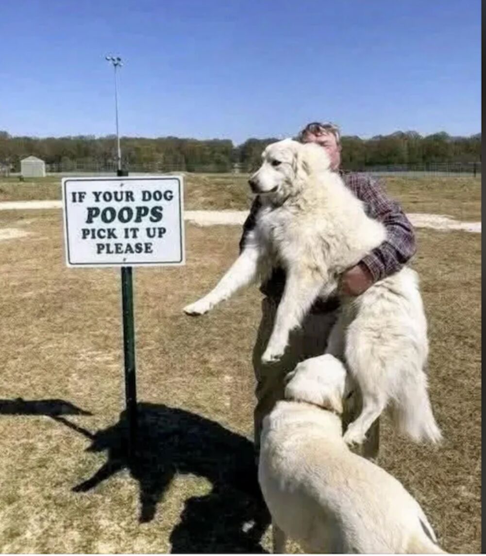 pick it up