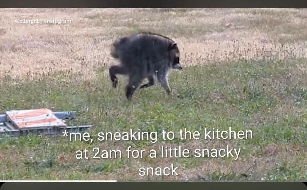 sneaky time