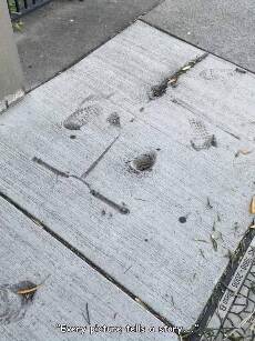 every picture tells a story