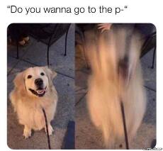 Wanna Go To The P