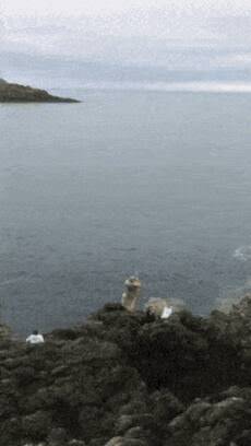 a race to the finish line