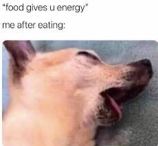 food gives you energy